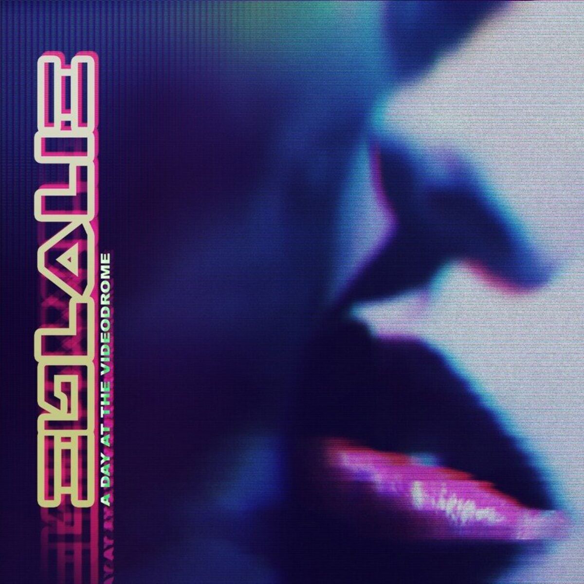 Album cover of A Day at the Videodrome
