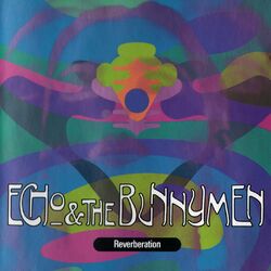 Cover of Reverberation