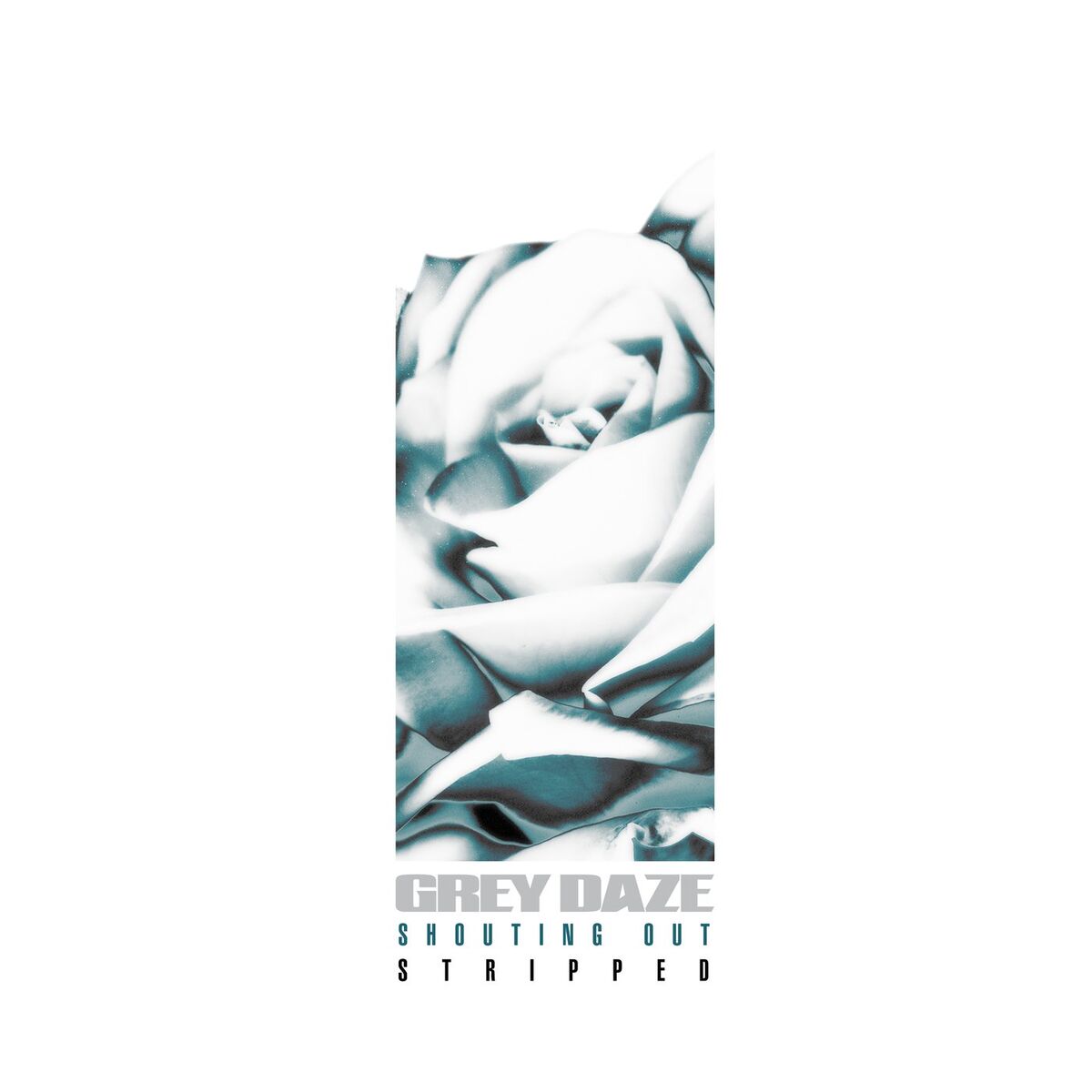 Album cover of Shouting Out (Stripped)