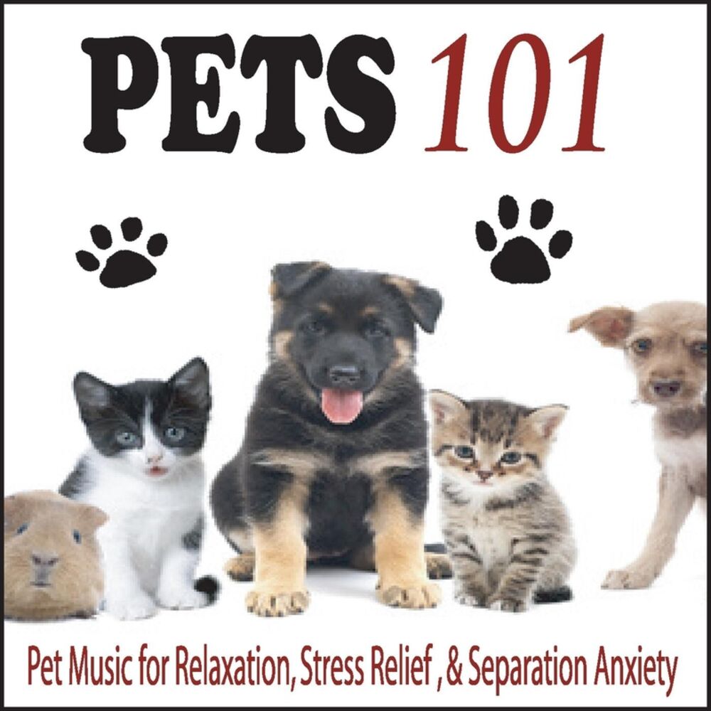 Picture of Pets 101: Pet Music for Relaxation, Stress Relief, & Separation Anxiety