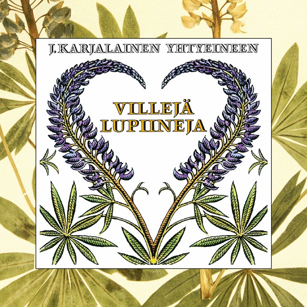 Picture of Villejä lupiineja