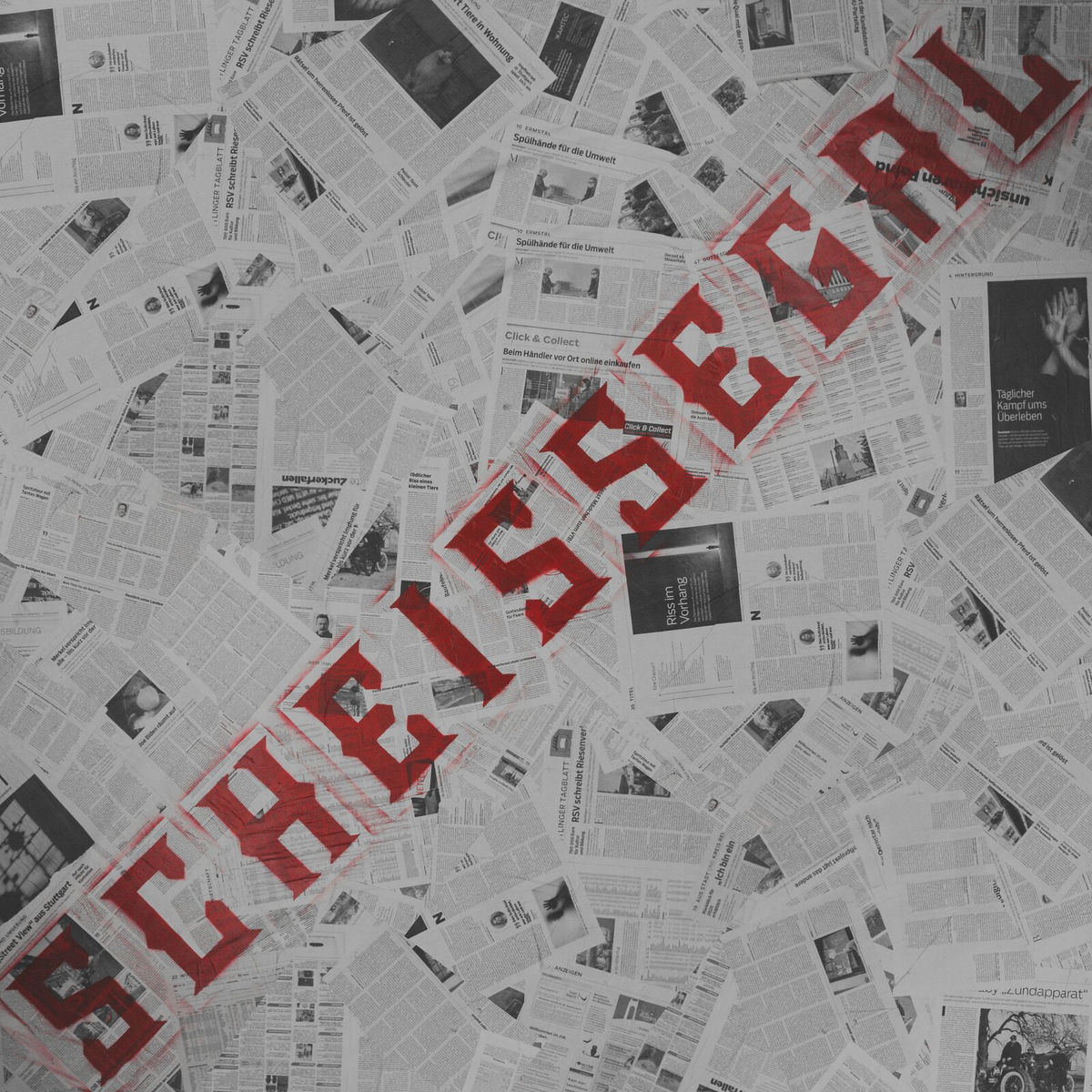 Album cover of Scheißegal