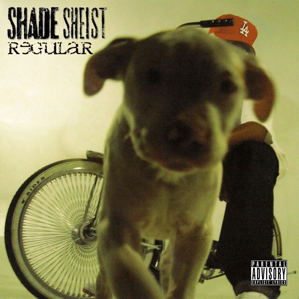 Picture of Regular
