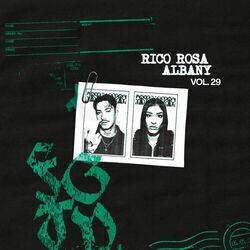 Cover of Albany - Fugitivo Vol. 29