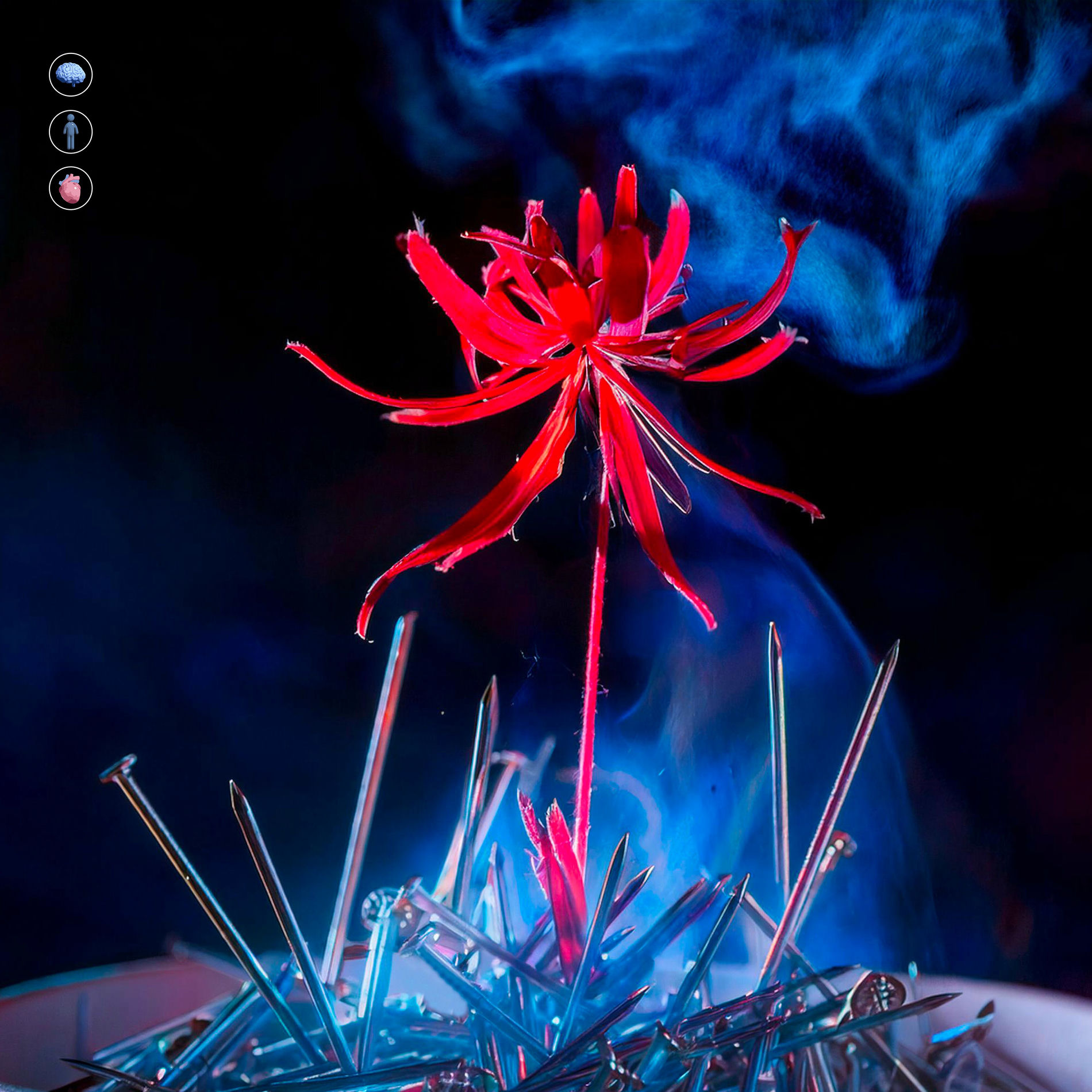 Album cover of Fiori Nel Cemento