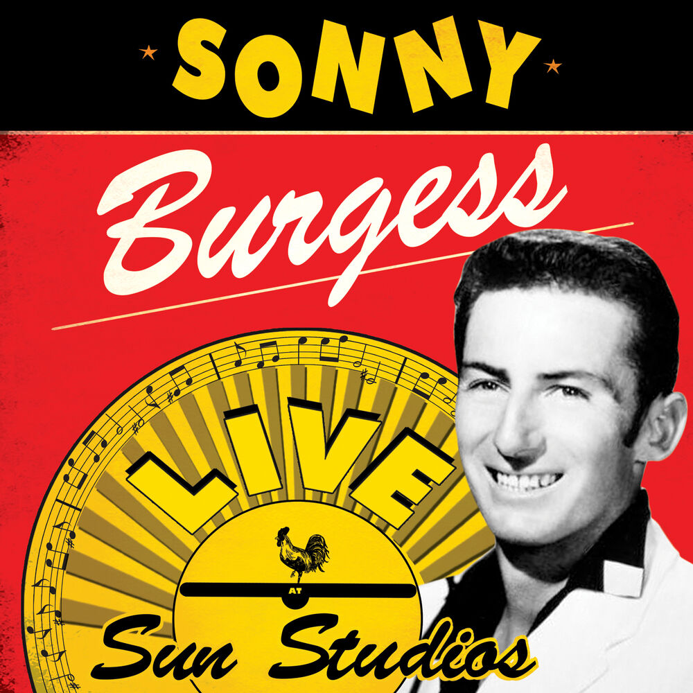Picture of Live at Sun Studios