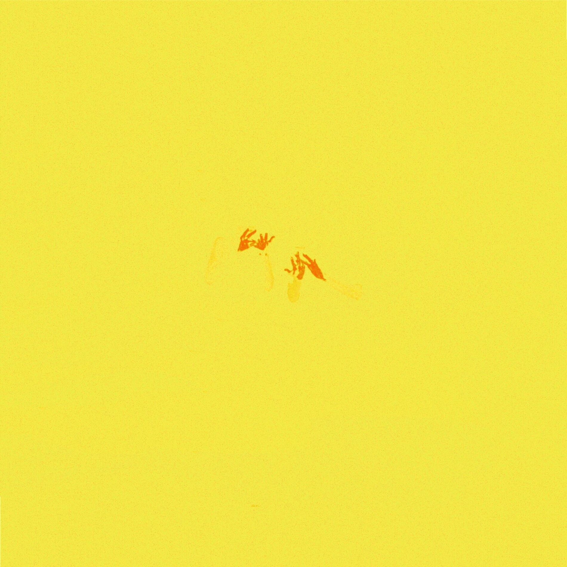 Album cover of The Page (feat. Octave Lissner) [Live]