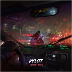 Cover of Cruising