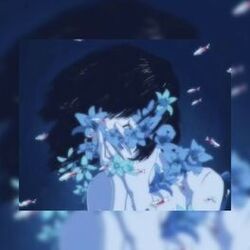 Cover of Rainy nights