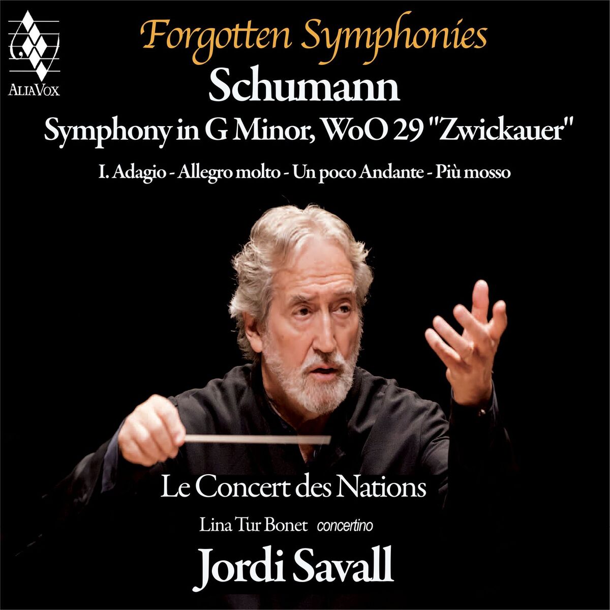 Album cover of Symphony in G Minor, WoO 29 