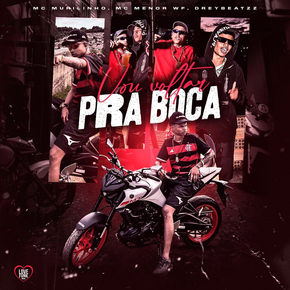 Picture of Vou Voltar Pra Boca