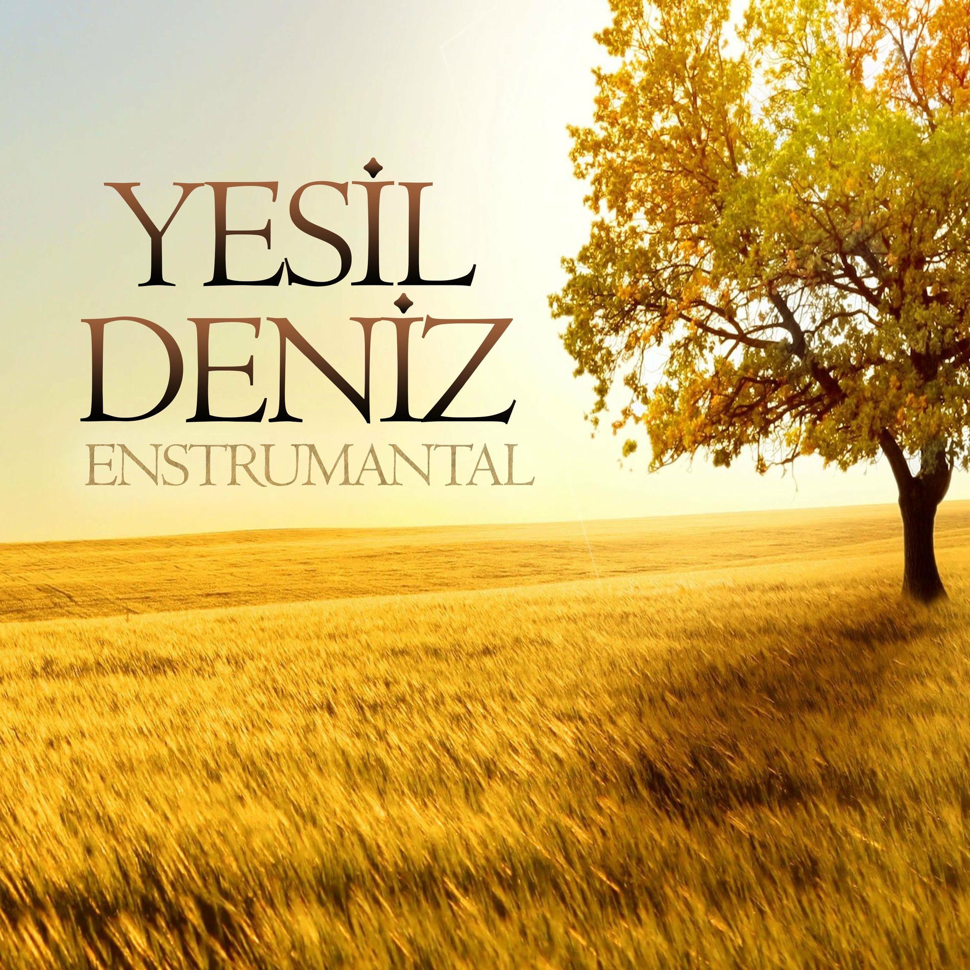 Album cover of Yeşil Deniz