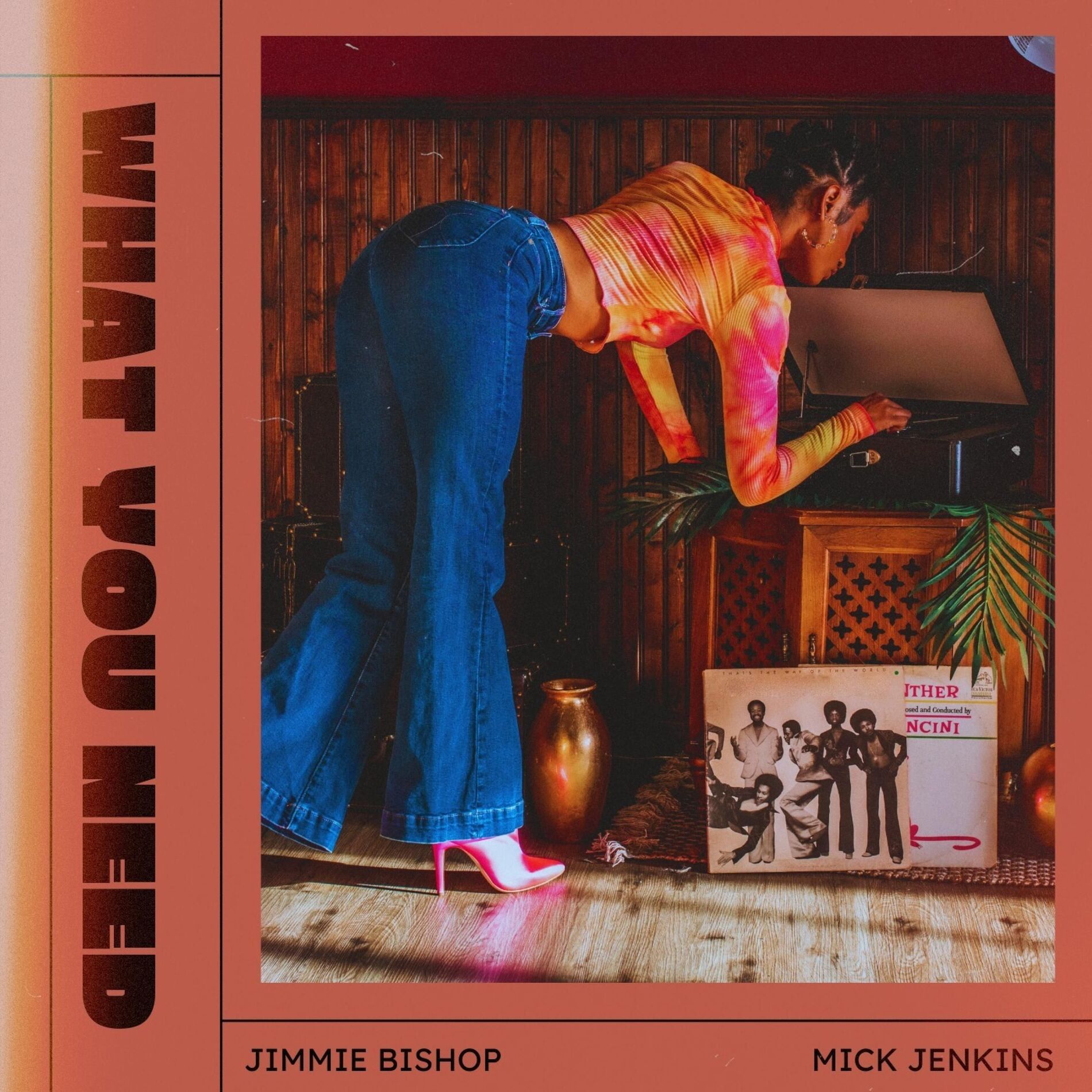 Album cover of What You Need (feat. Mick Jenkins)