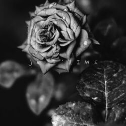 music cover