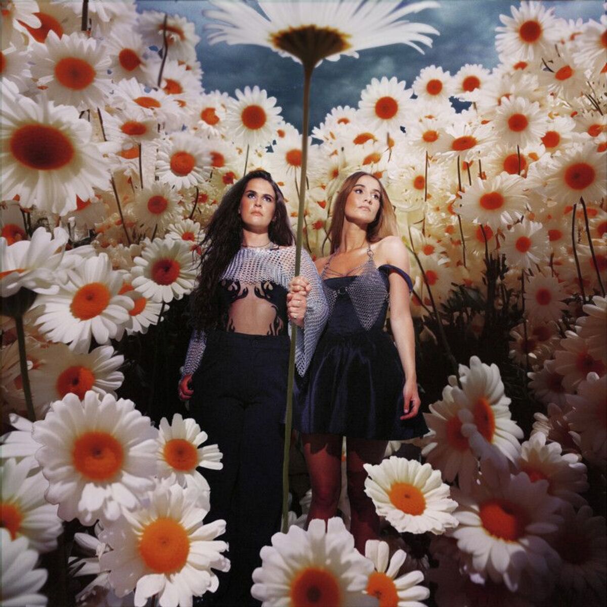 Album cover of The Death Of Daisies