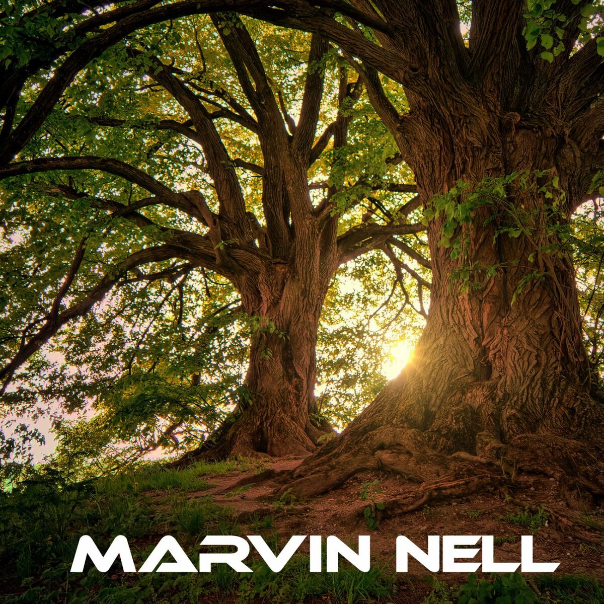 Album cover of Induction
