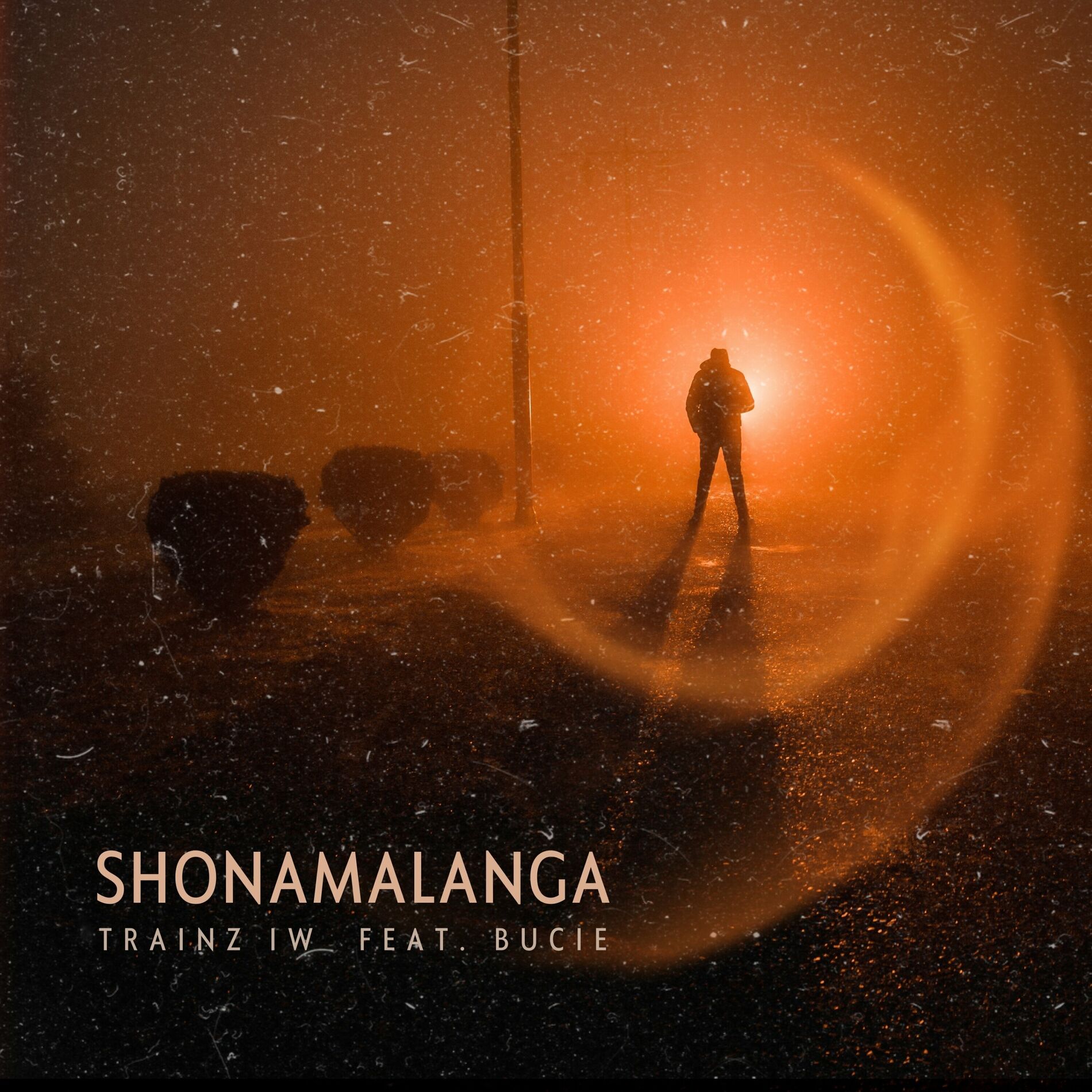 Album cover of Shonamalanga