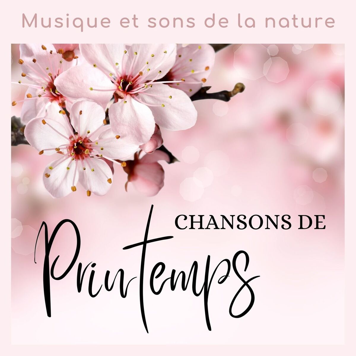Album cover of Chansons de printemps: Revenir de bonne humeur avec la musique et sons de la nature