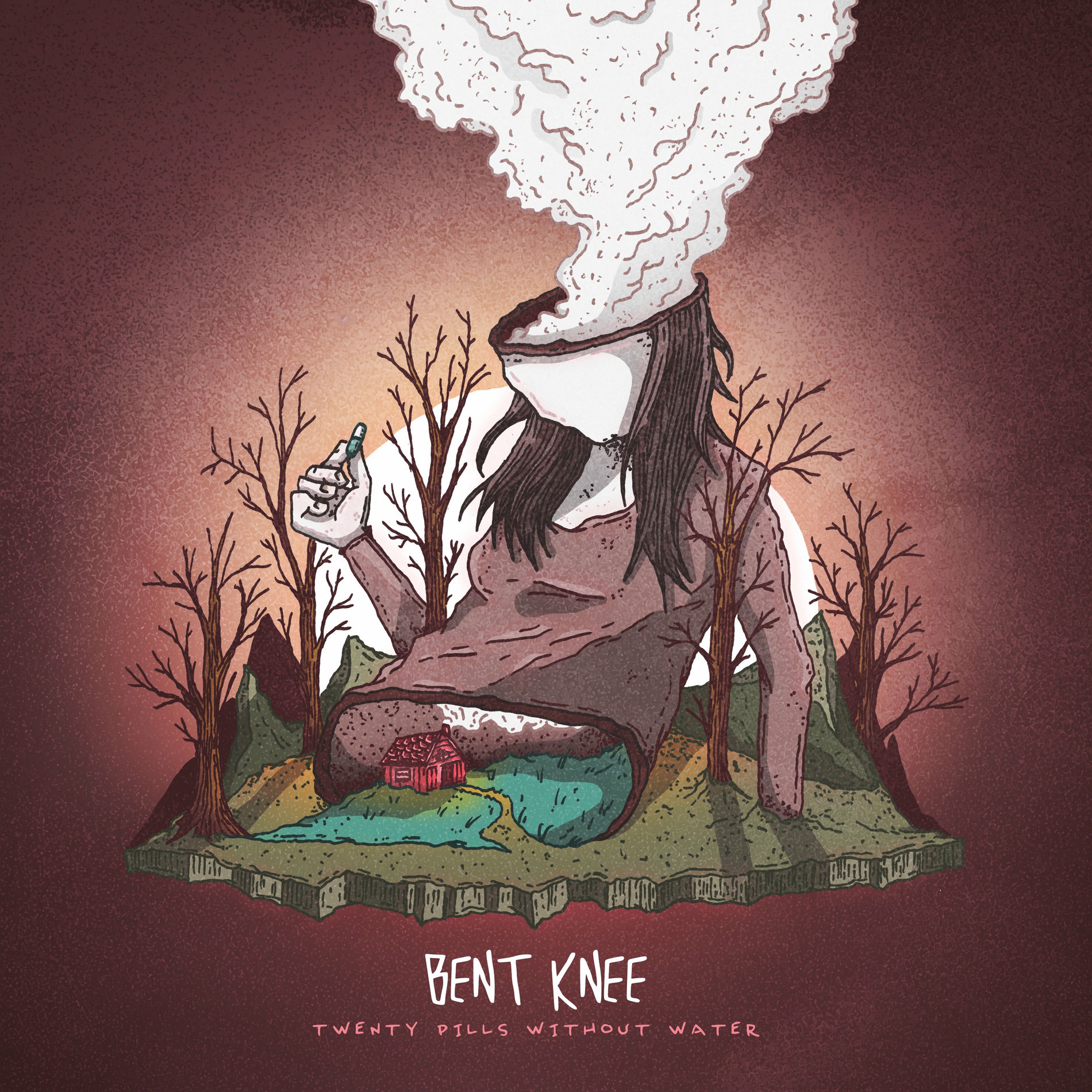 Album cover of Twenty Pills Without Water