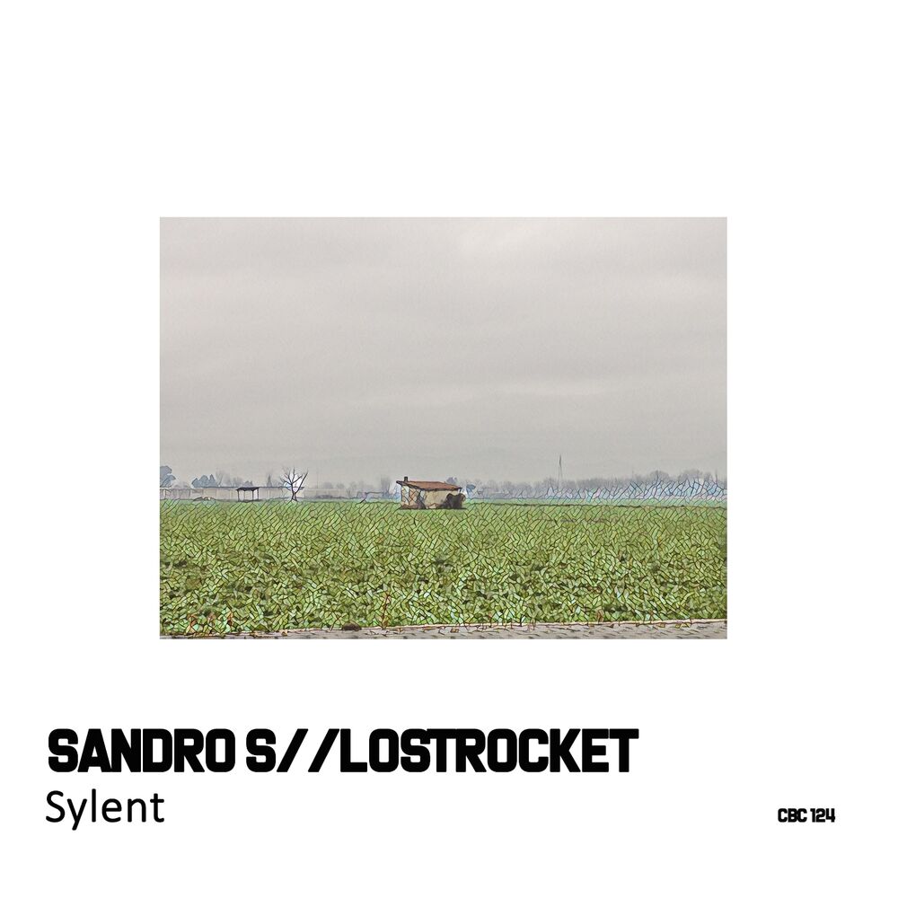 Picture of Sylent