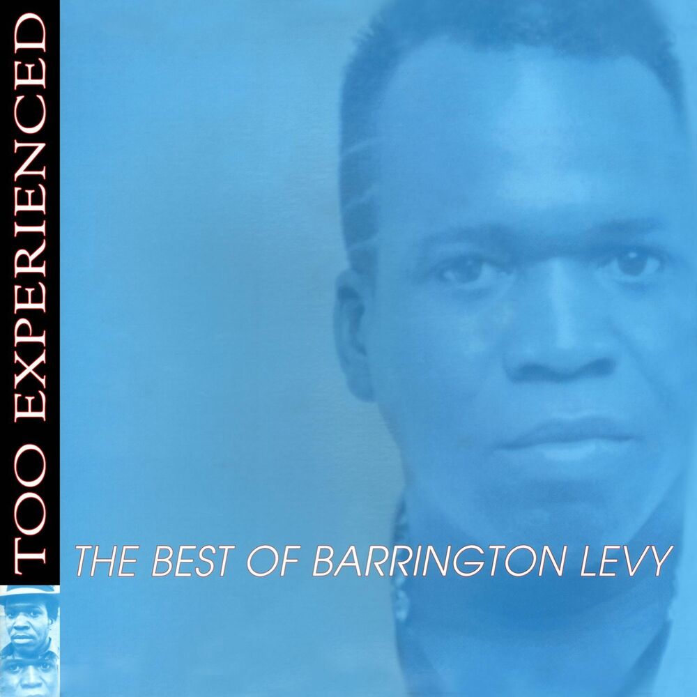 Picture of Too Experienced - The Best of Barrington Levy