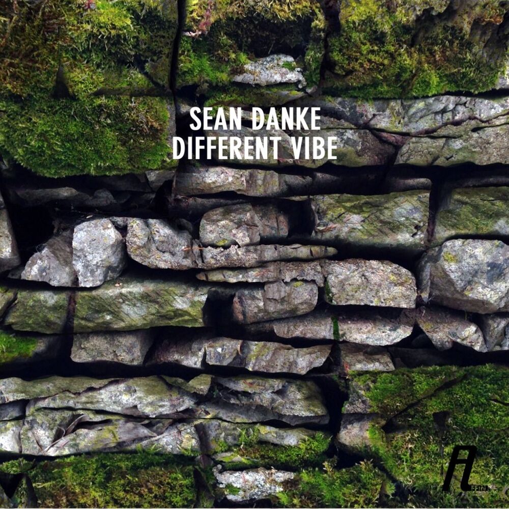 Picture of Different Vibe