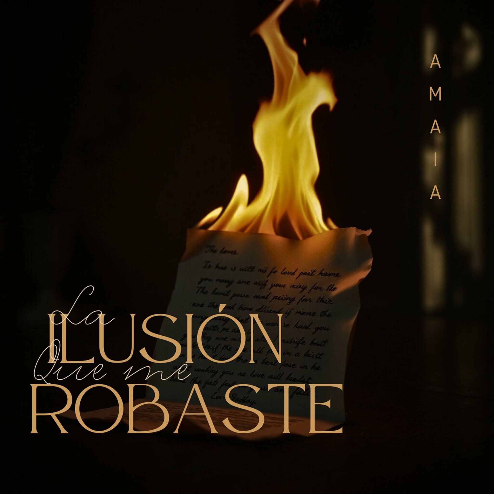 Album cover of La Ilusión Que Me Robaste