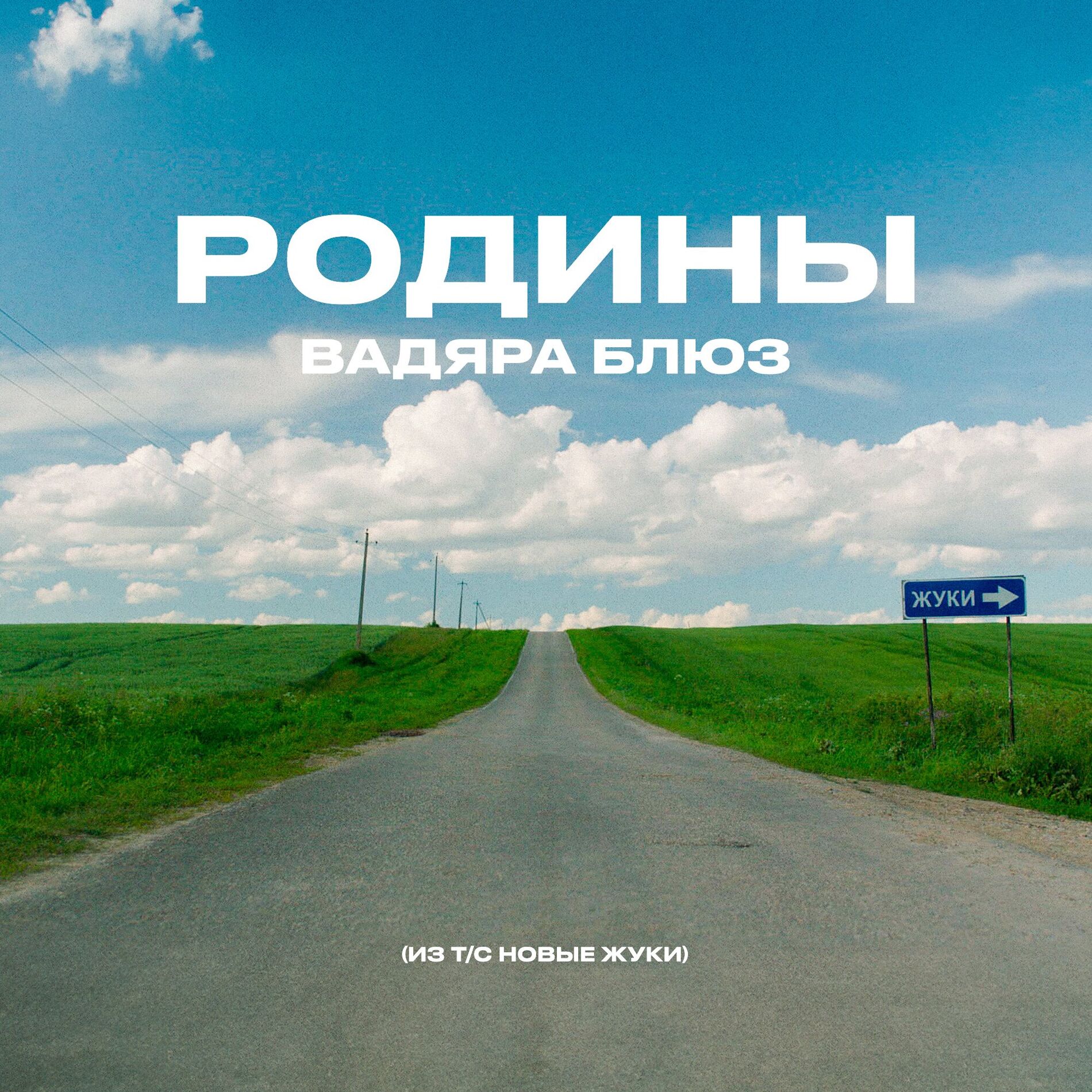 Album cover of РОДИНЫ