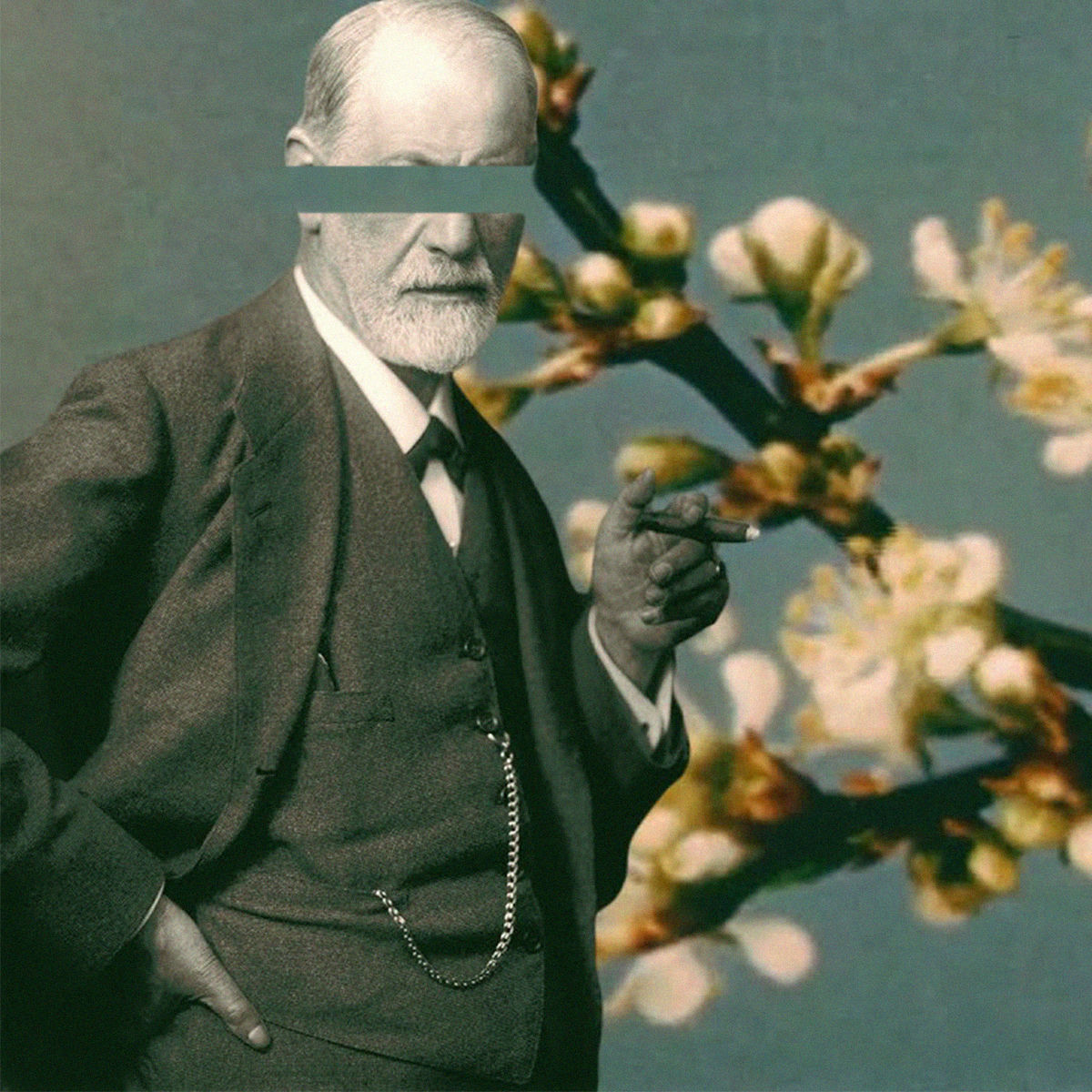Album cover of Sem Título