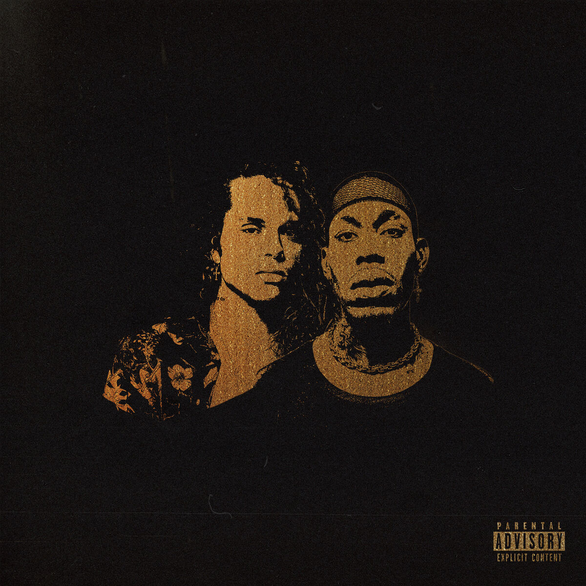 Album cover of Tratamento Perfeito