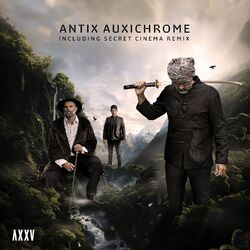 Cover of Auxichrome