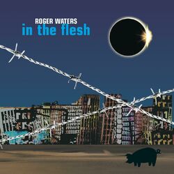Cover of In the Flesh - Live
