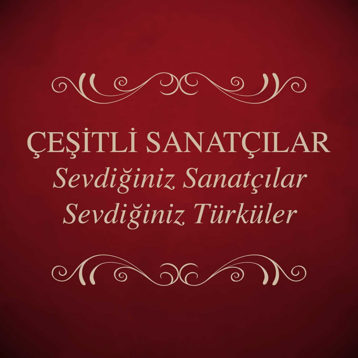 Album cover of Sevdiğiniz Sanatçılar Sevdiğiniz Türküler
