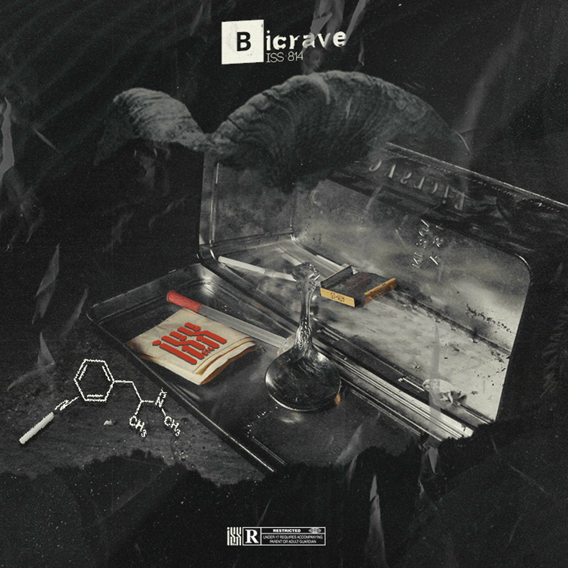Album cover of Bicrave