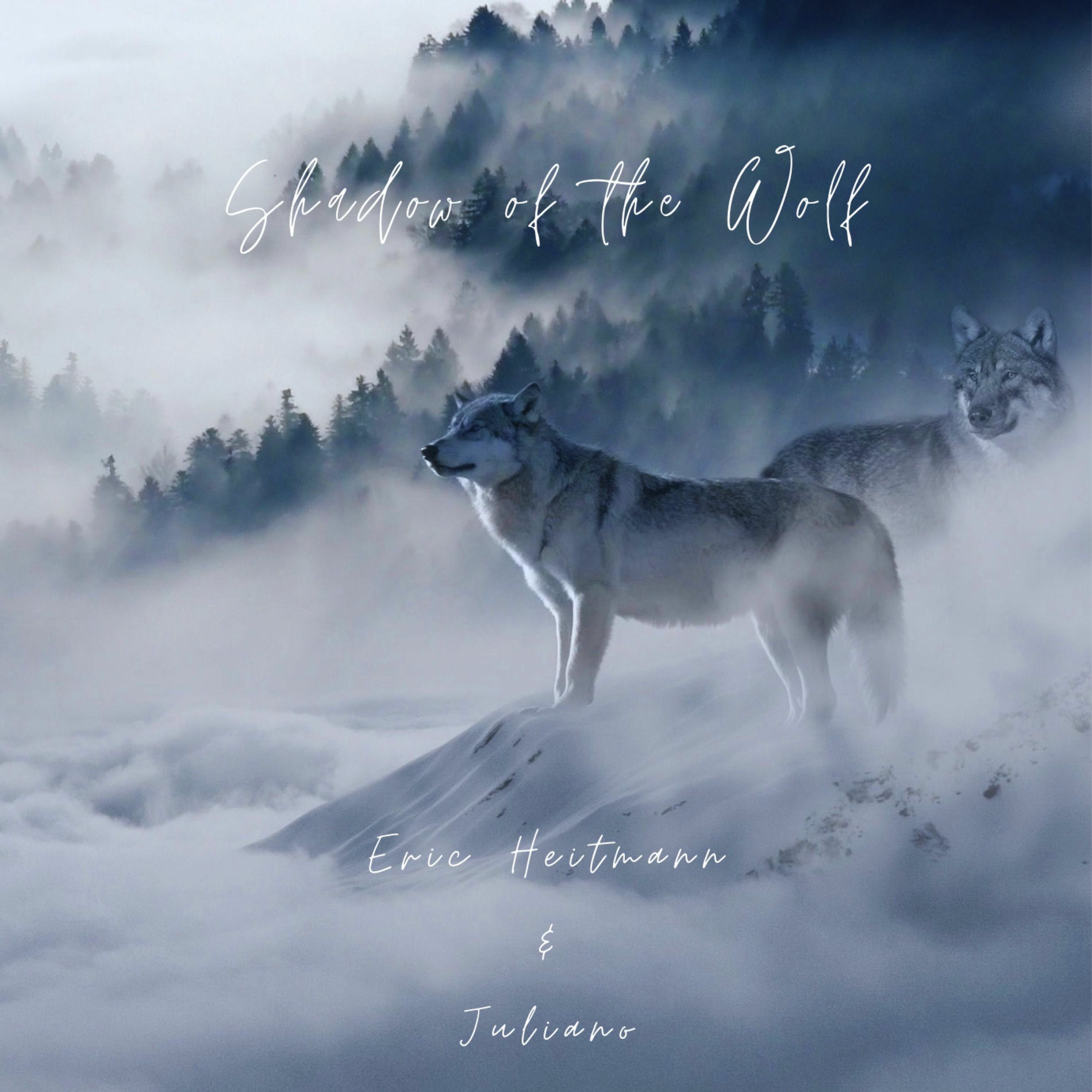 Album cover of Shadow of the Wolf