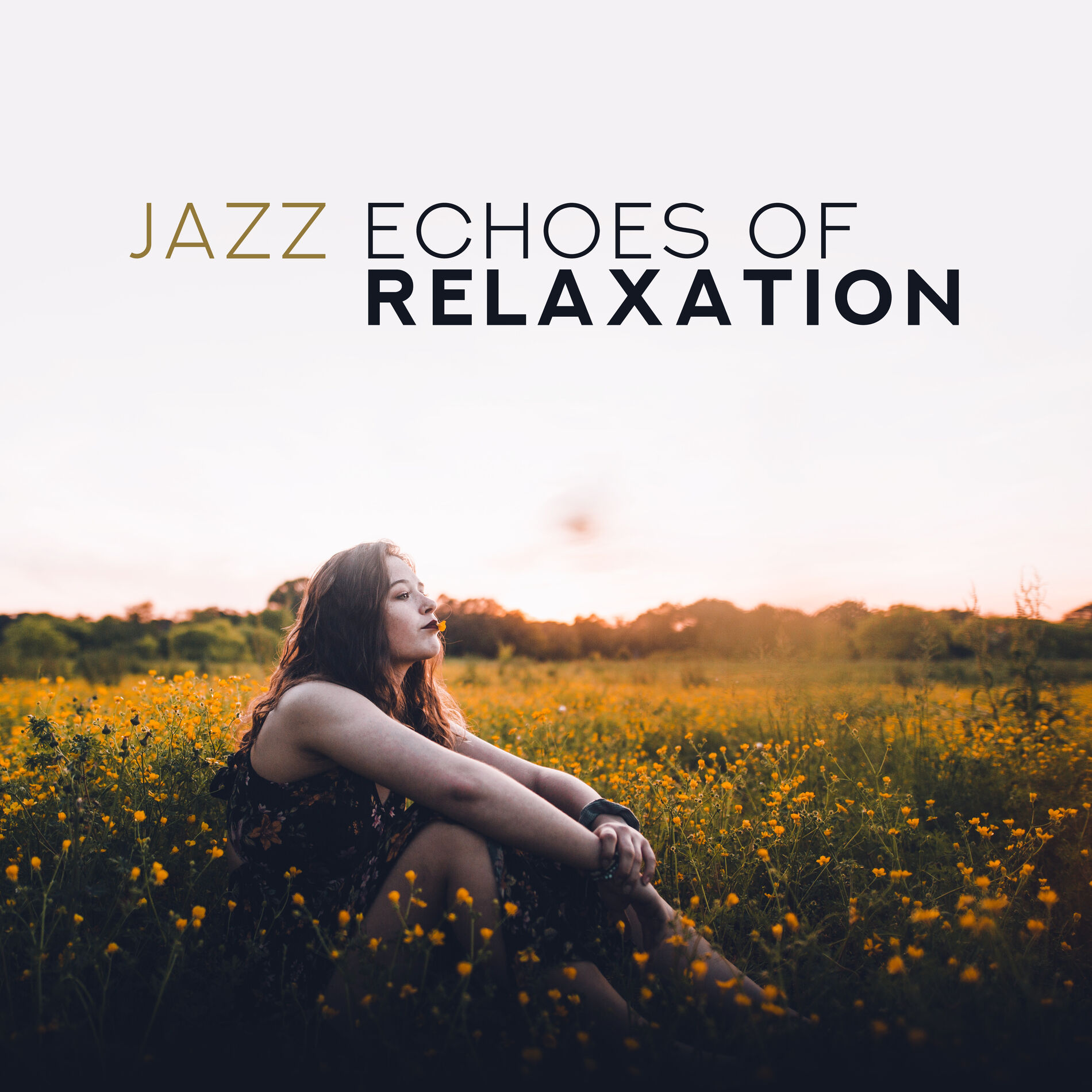 Album cover of Jazz Echoes of Relaxation: 2019 Smooth Soft Jazz Music Selection, Soothing Vintage Piano Melodies with Sounds of Contrabass, Sax &