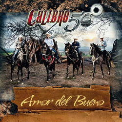 Cover of Amor Del Bueno