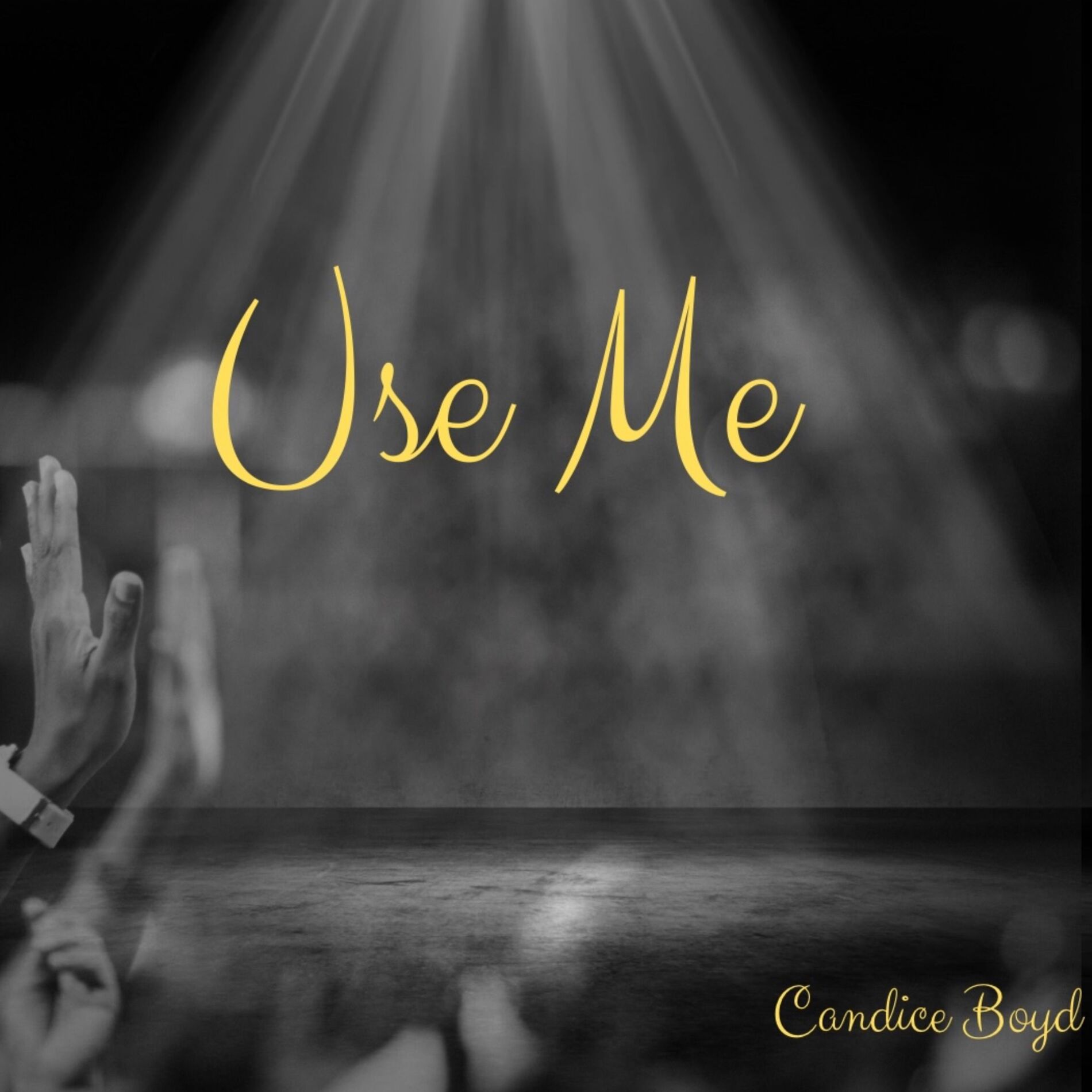 Album cover of Use Me