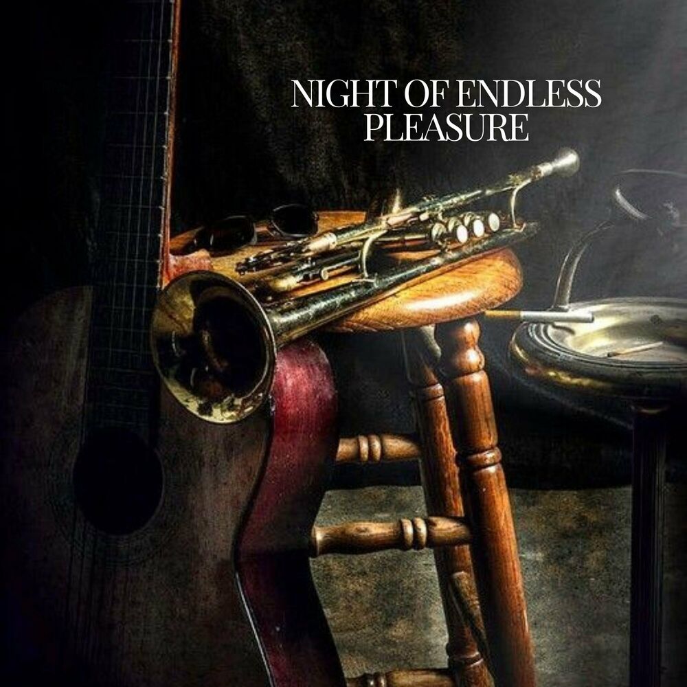 Picture of Night Of Endless Pleasure