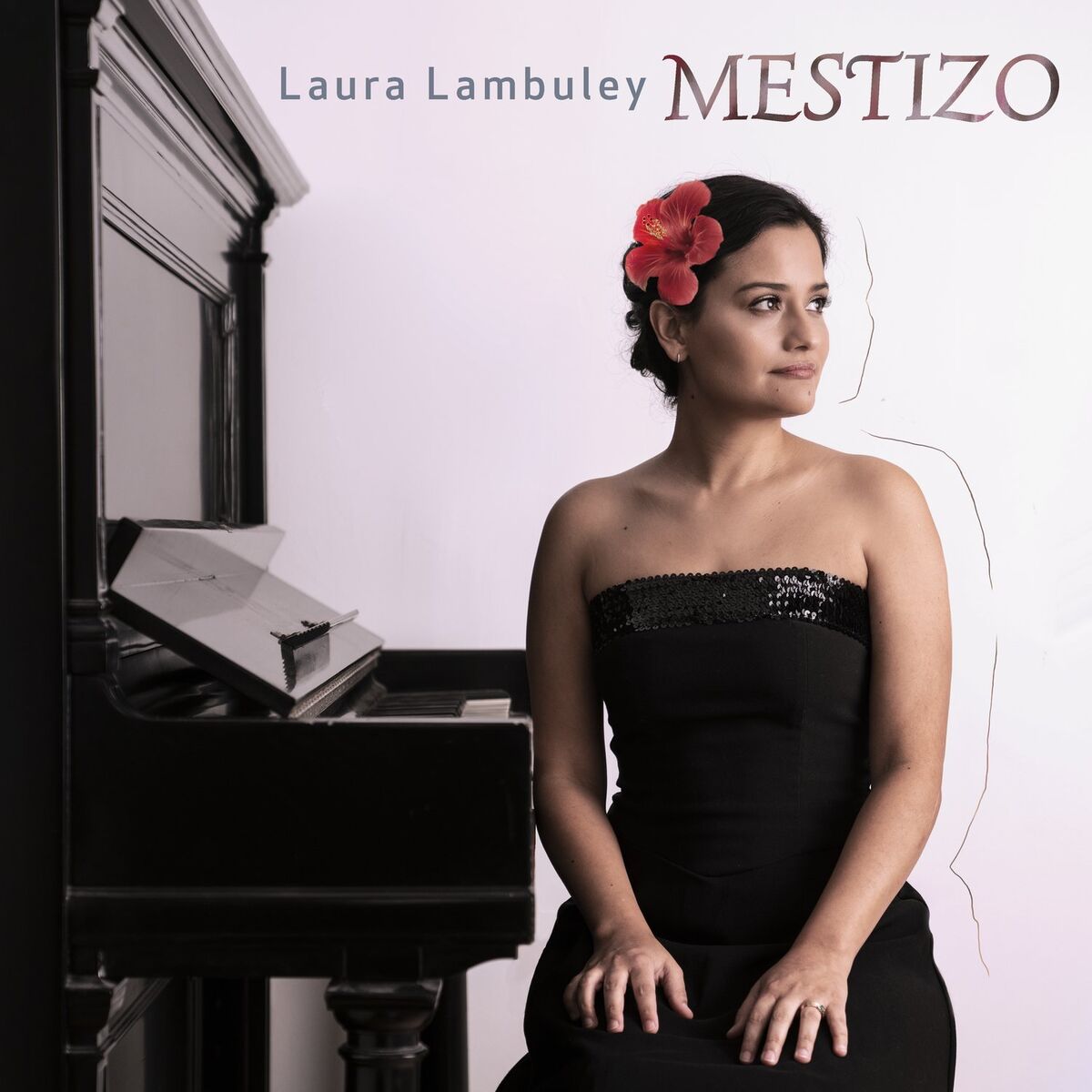 Album cover of Mestizo