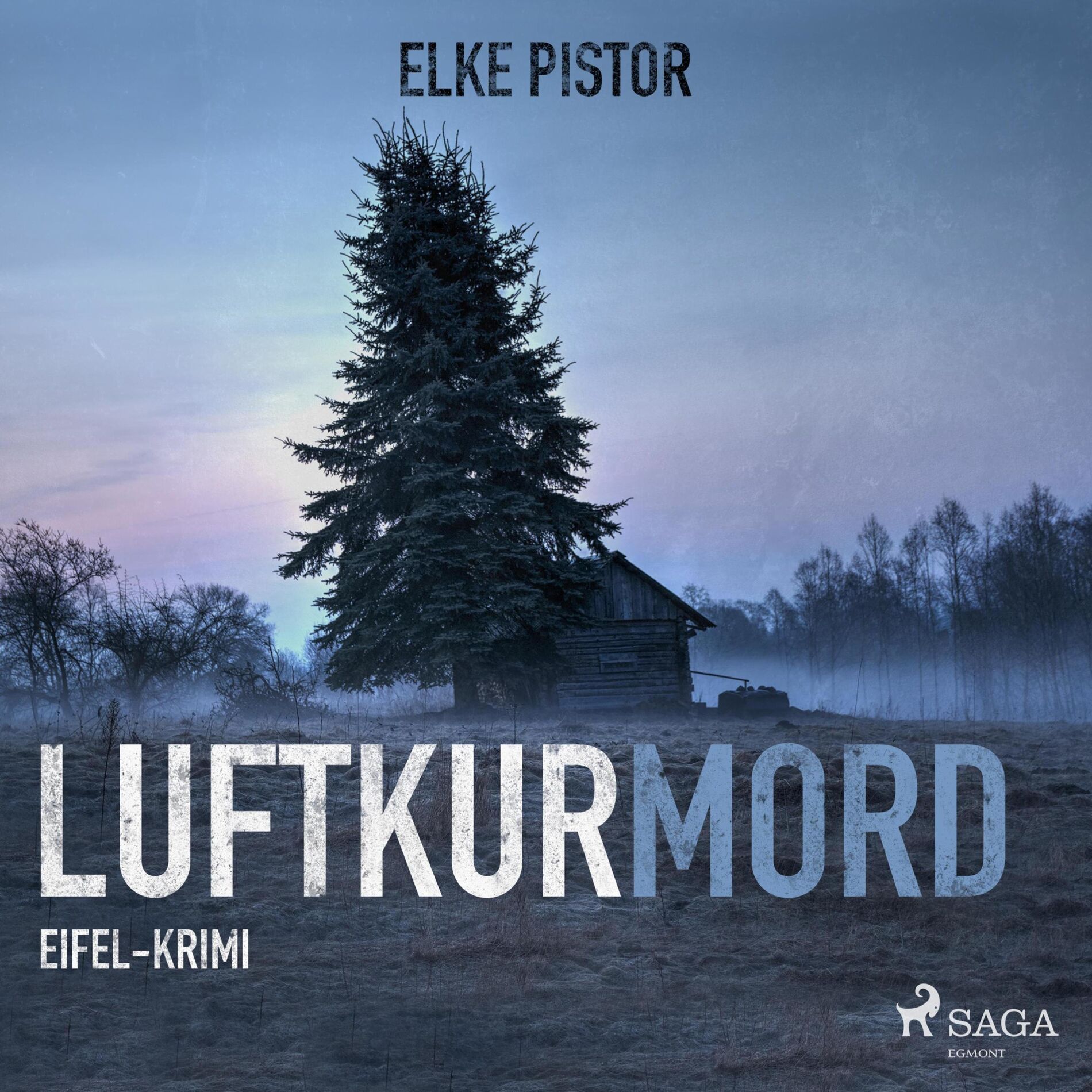 Album cover of Luftkurmord - Eifel Krimi (Ungekürzt)