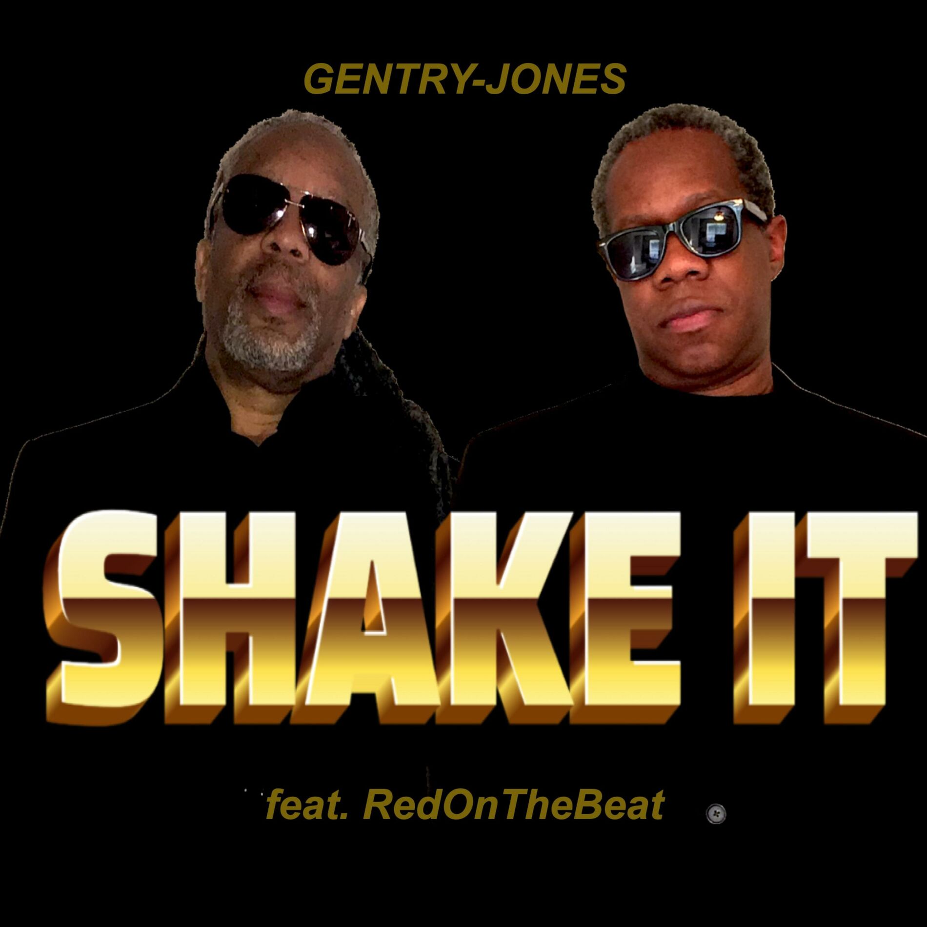 Album cover of SHAKE IT