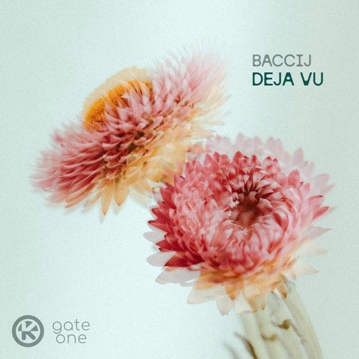 Album cover of Deja Vu