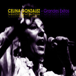 Cover of Grandes Exitos de Celina González