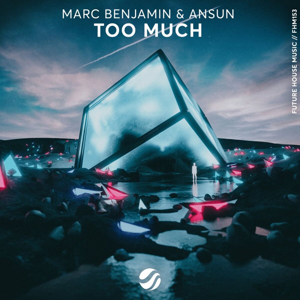Album cover of Too Much