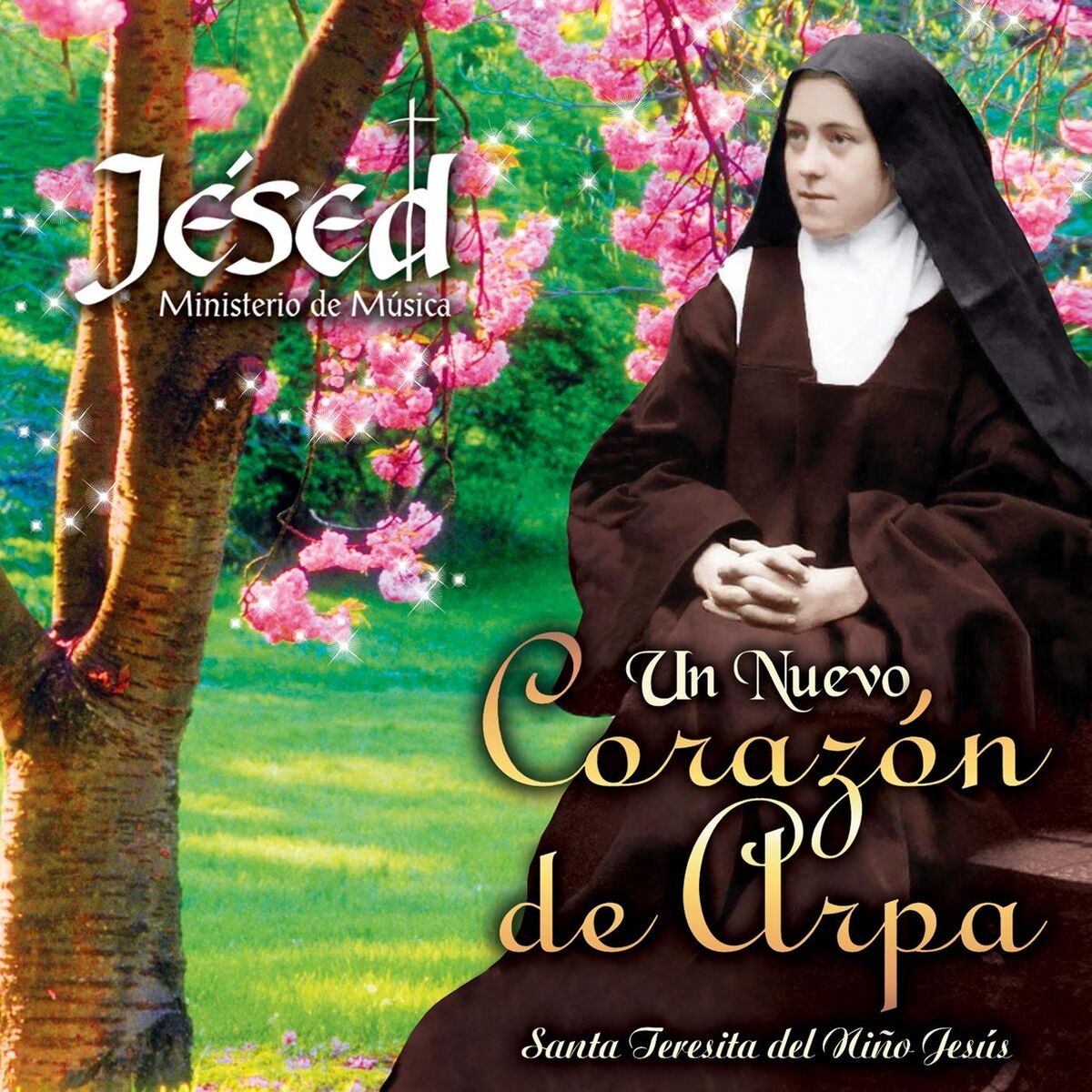 Album cover of Un Nuevo Corazón de Arpa