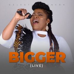 Cover of Bigger (Live)