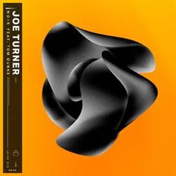 Cover of Noir