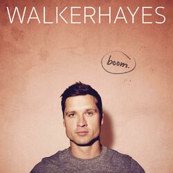 Cover of boom.