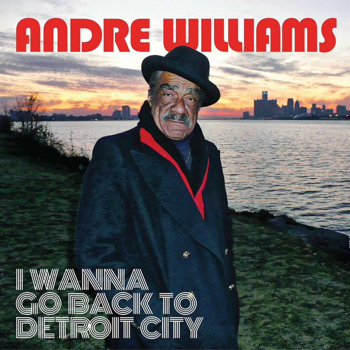 Album cover of I Wanna Go Back To Detroit City